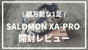 SALOMON XA-PRO開封レビュー