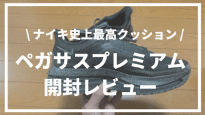 【実機レビュー】ナイキ ペガサス プレミアムは買い？進化のポイントと走行感を徹底解説