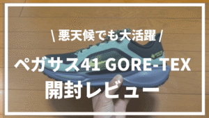 【悪天候でも大活躍】ナイキ ペガサス41 GORE-TEX開封レビュー