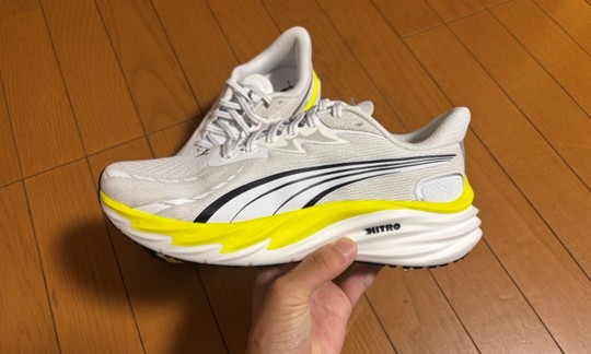 今回紹介するモデルがこちら！